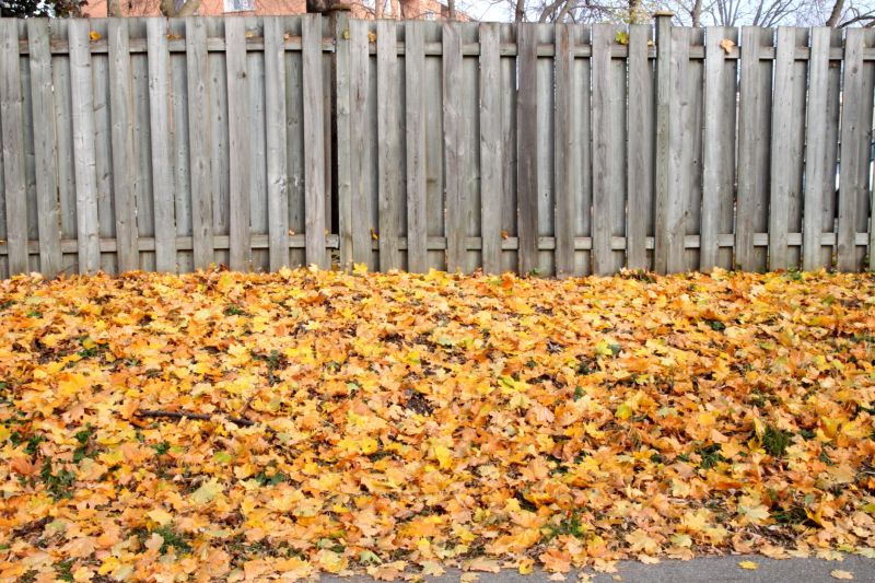 Optimal Fall Conditions